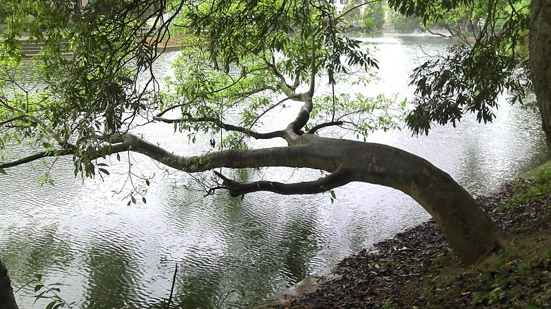 南漳县旅游攻略图片