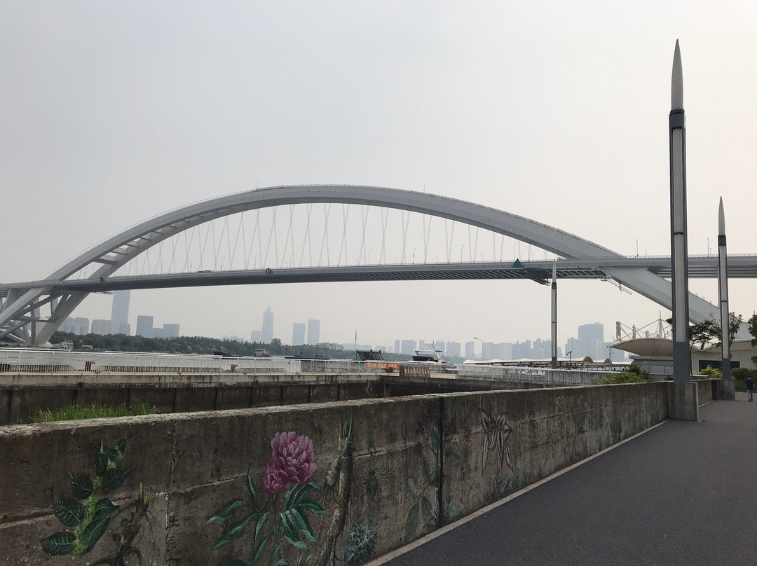 卢浦大桥-上海市必去景点