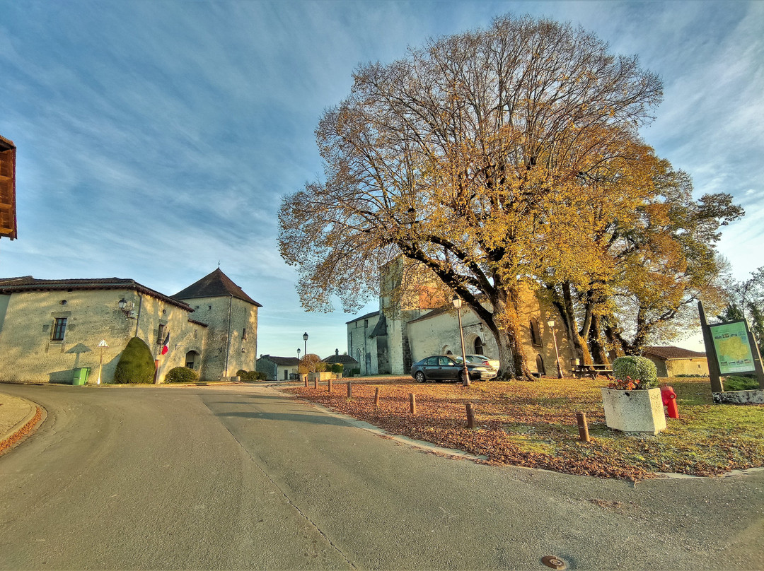 Église Saint-amant Ou Amand景点图片