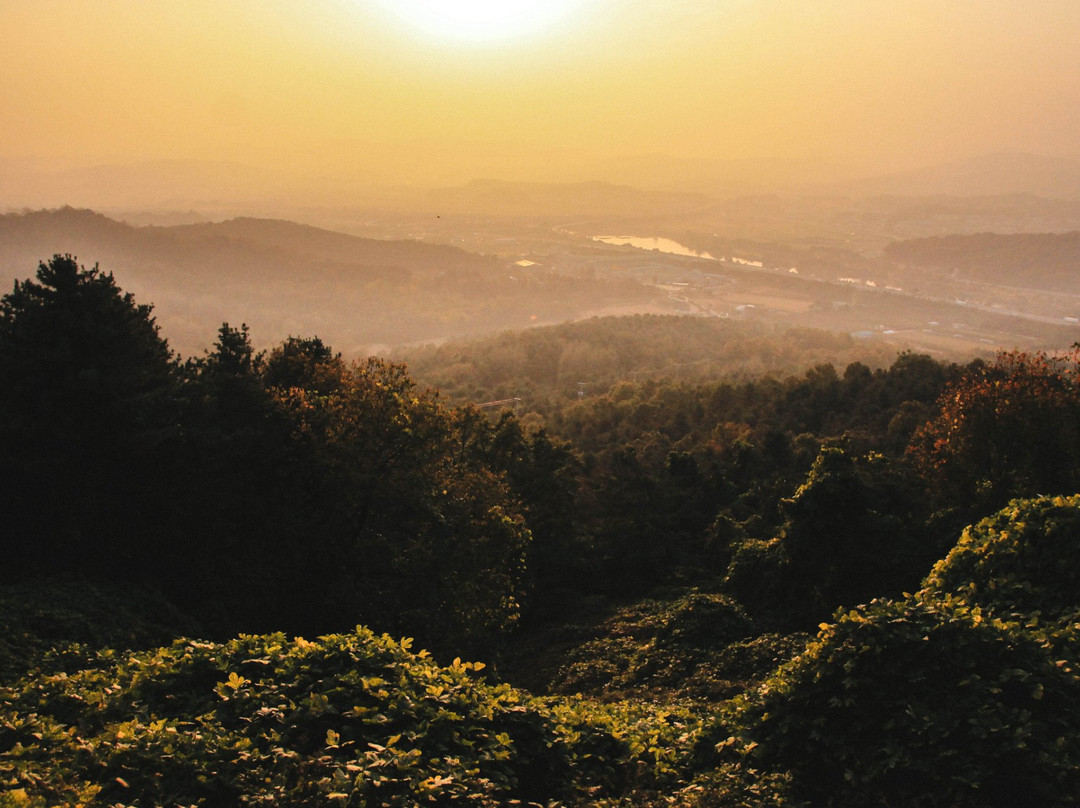 Bojeoksa-乌山市必去景点