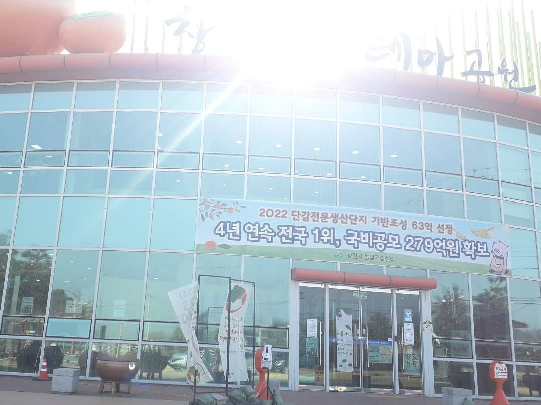 Changwon Sweet Persimmon Theme Park