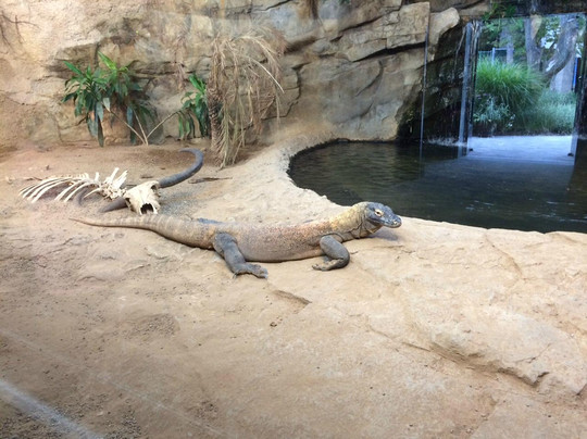 Allenwood旅游攻略图片