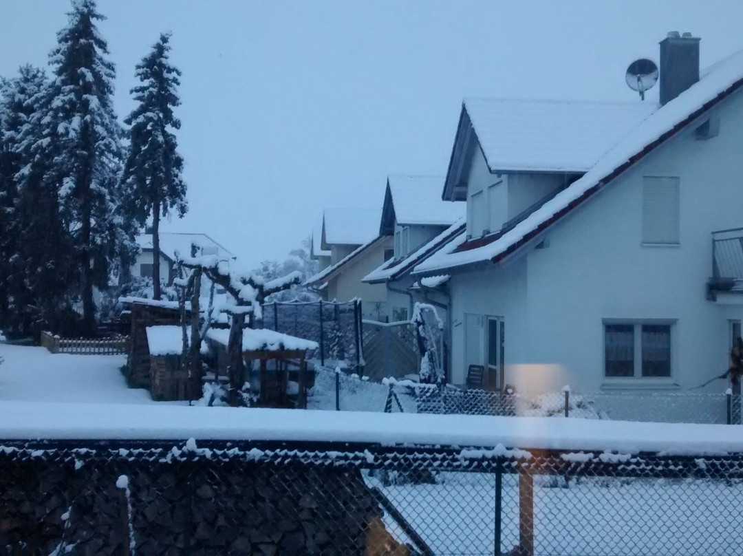 Schemmerhofen旅游攻略图片