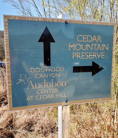 Cedar Mountain Nature Preserve-Cedar Hill必去景点