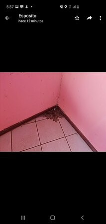 弗拉明戈滨海酒店主图