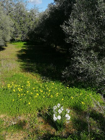 Quinta de Santa Margarida - Charm Country House-浴室