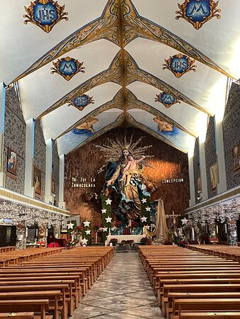 Basilica of the Immaculate Conception景点图片