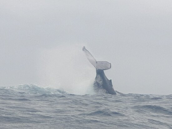 Oceans Alive-Scottburgh必去景点