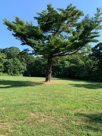 Farmingville Hills County Park景点图片
