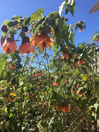 Bodega Bay Inn主图