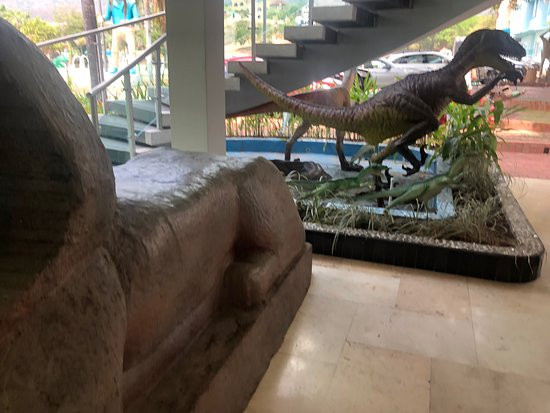 Hotel Paraiso Hollywood主图