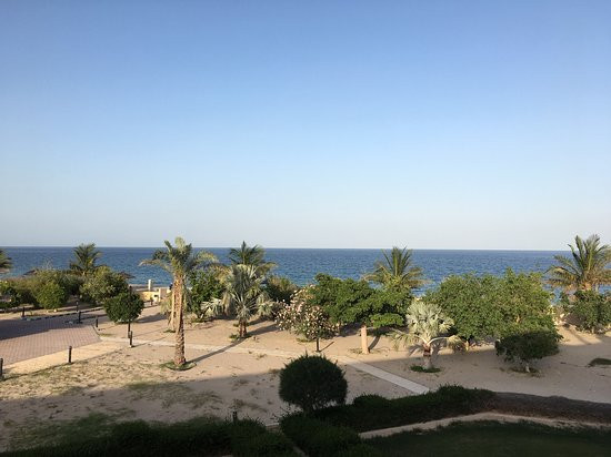 金色郁金香度假村主图