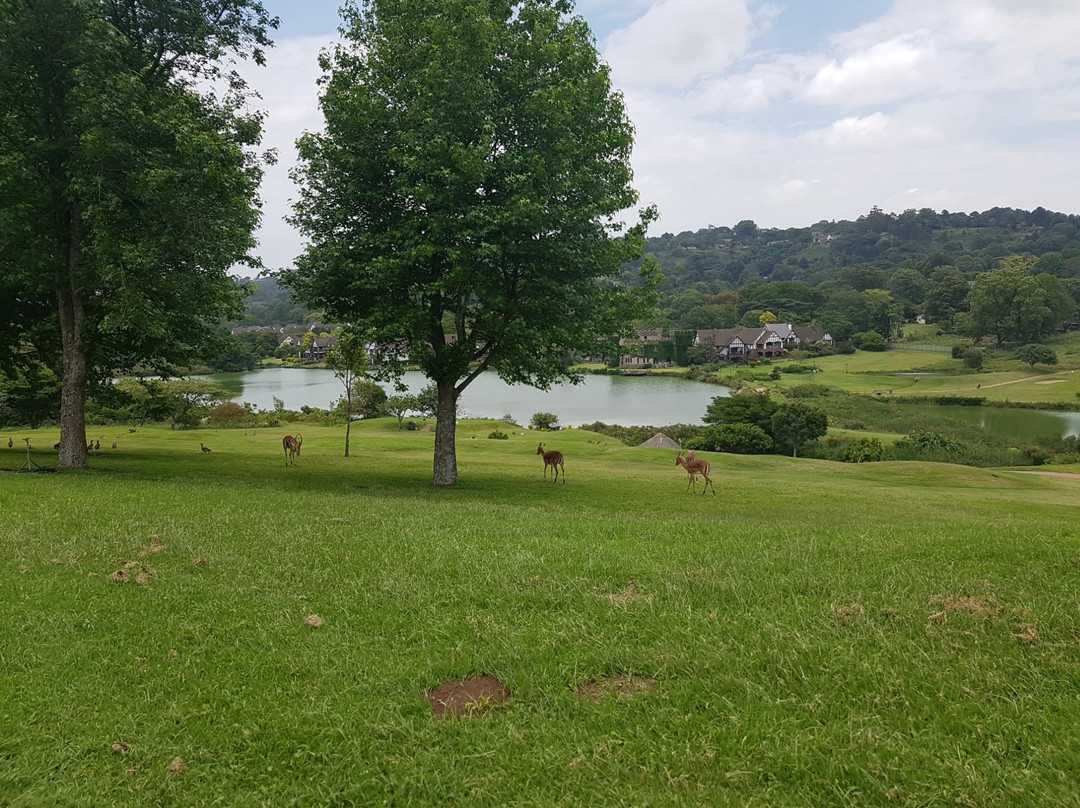 Camelot Country Club-Hillcrest必去景点