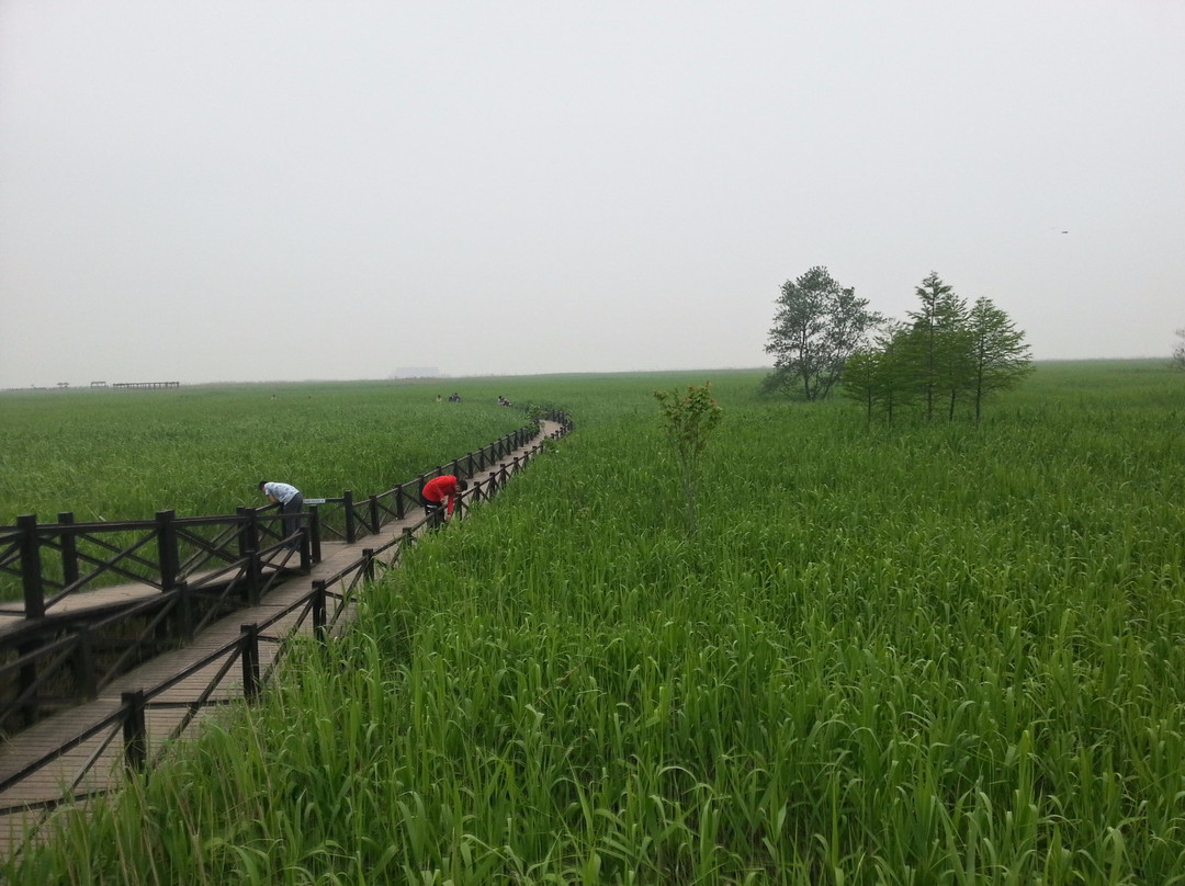 西沙湿地公园景点图片