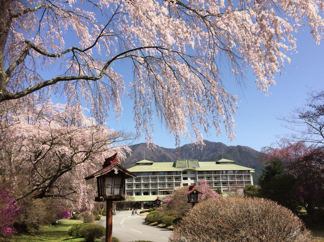 Fuji View Hotel Japanese Garden景点图片