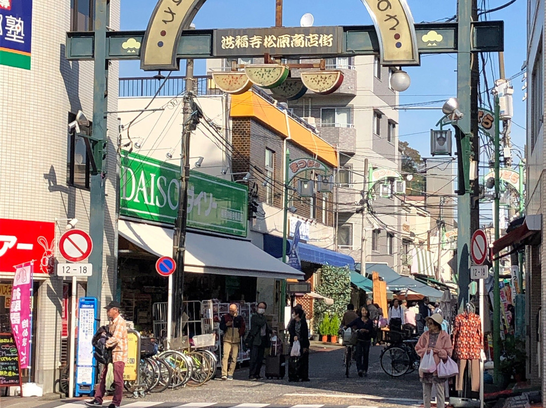 Kofukuji Matsubara Shopping Street景点图片