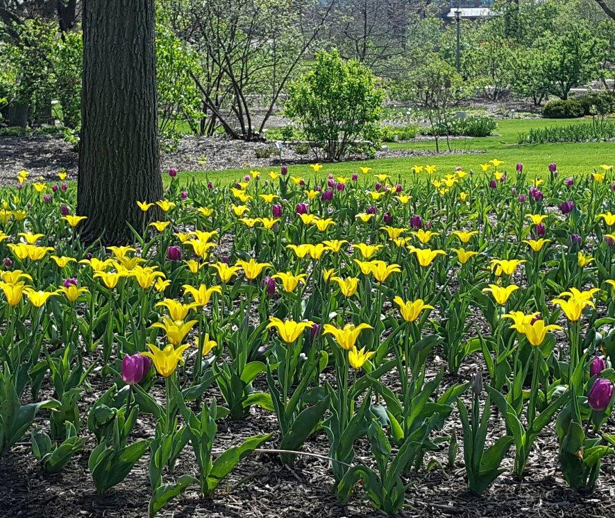 伦巴第旅游攻略图片