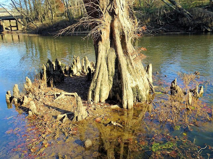 River Bend Park景点图片