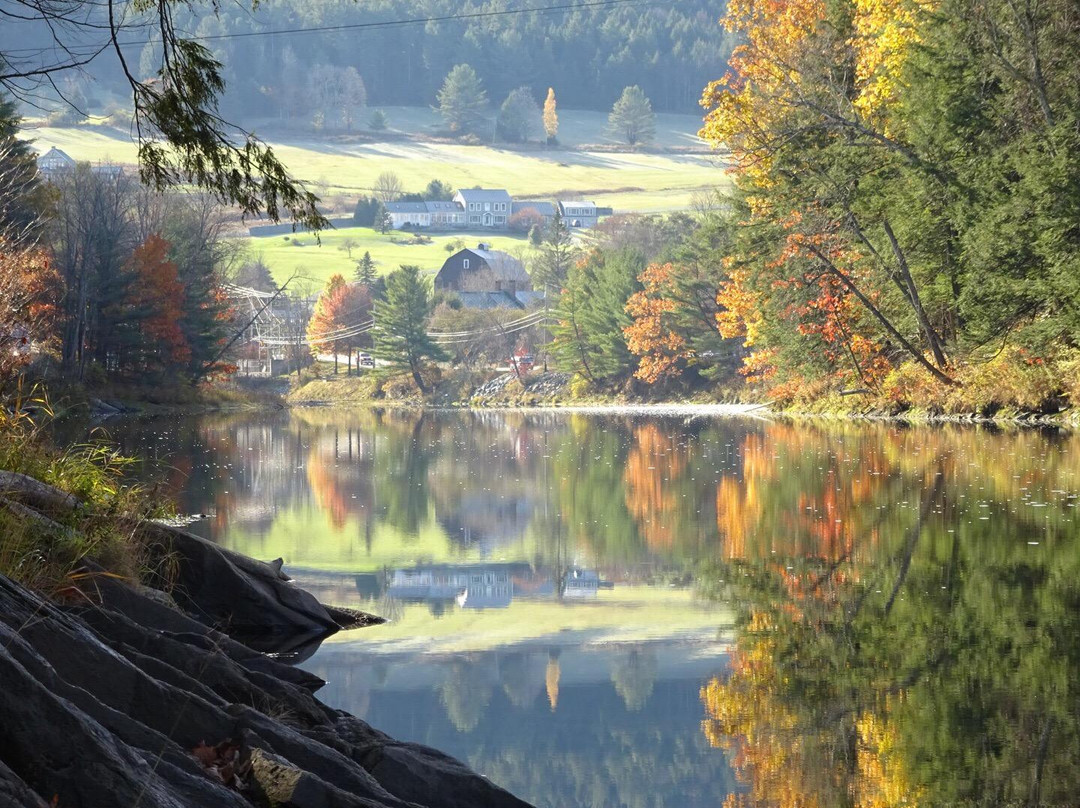 null-伍德斯托克