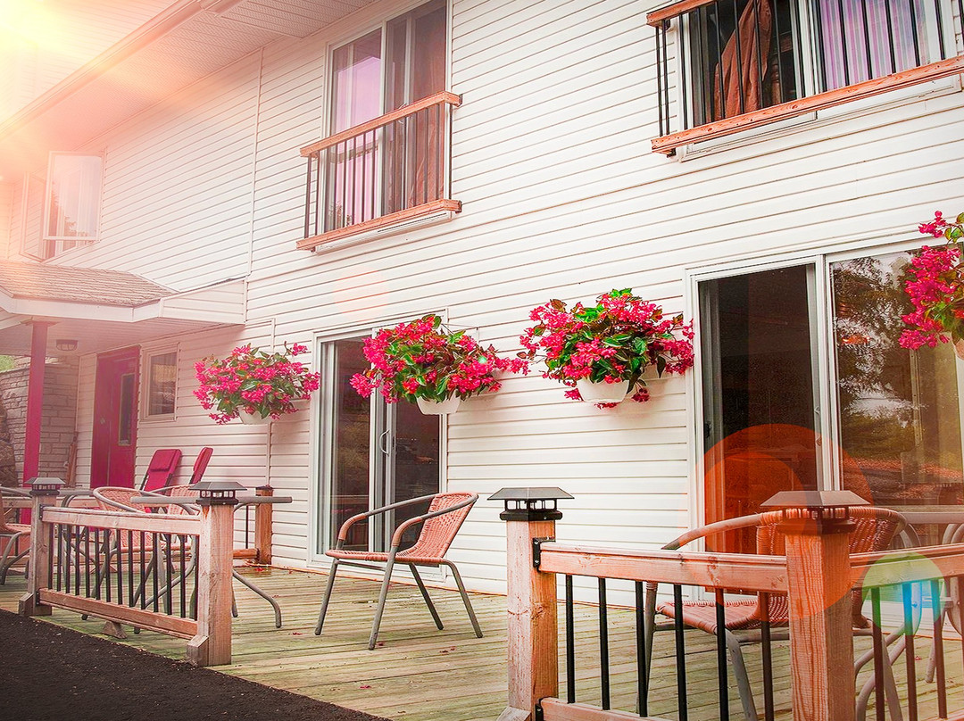 The Forest House B&B