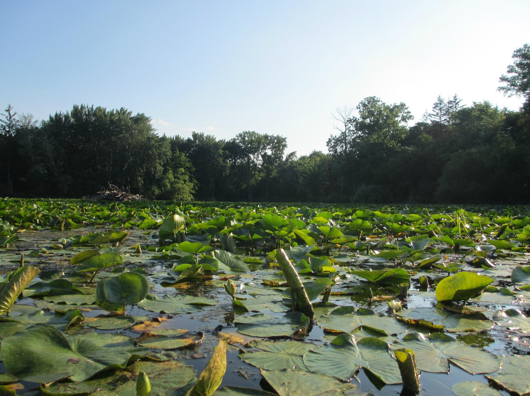 绍姆堡旅游攻略图片