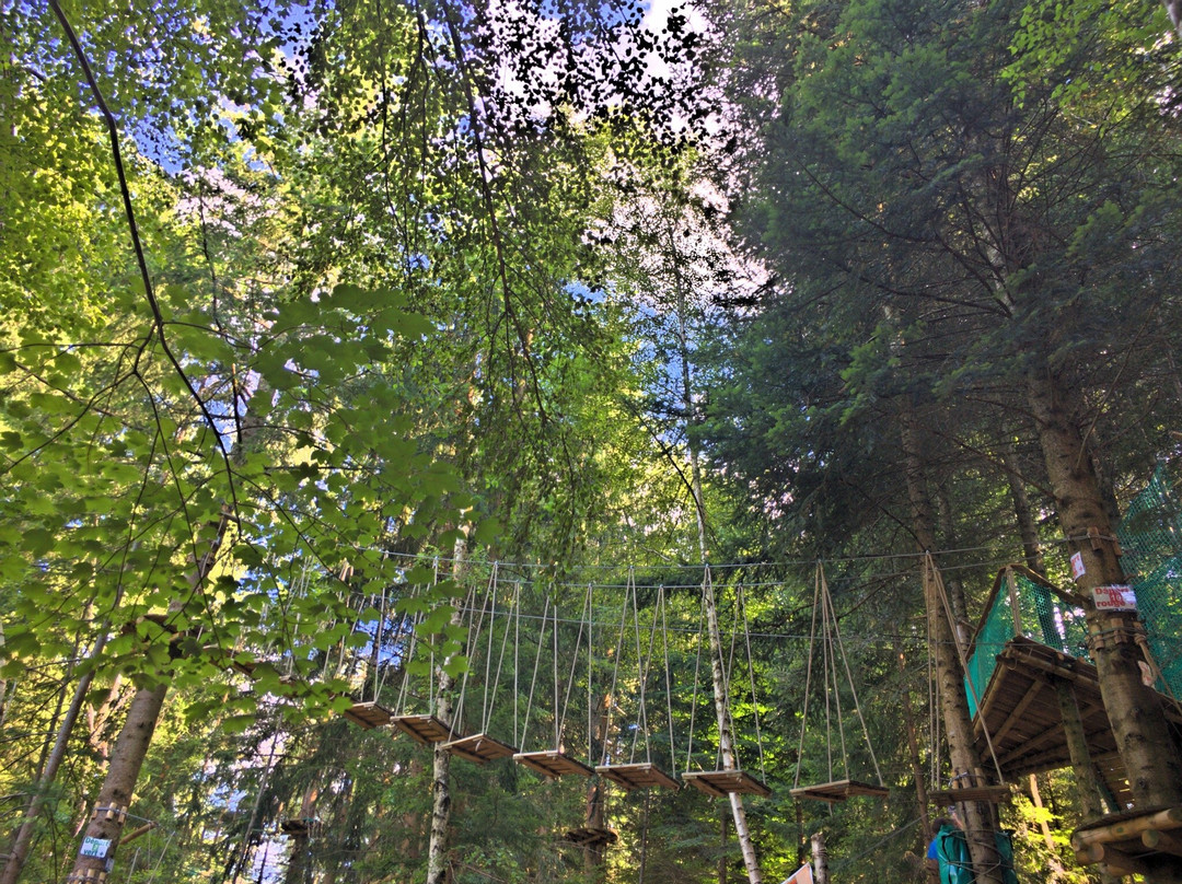 Parc Family Aventure景点图片