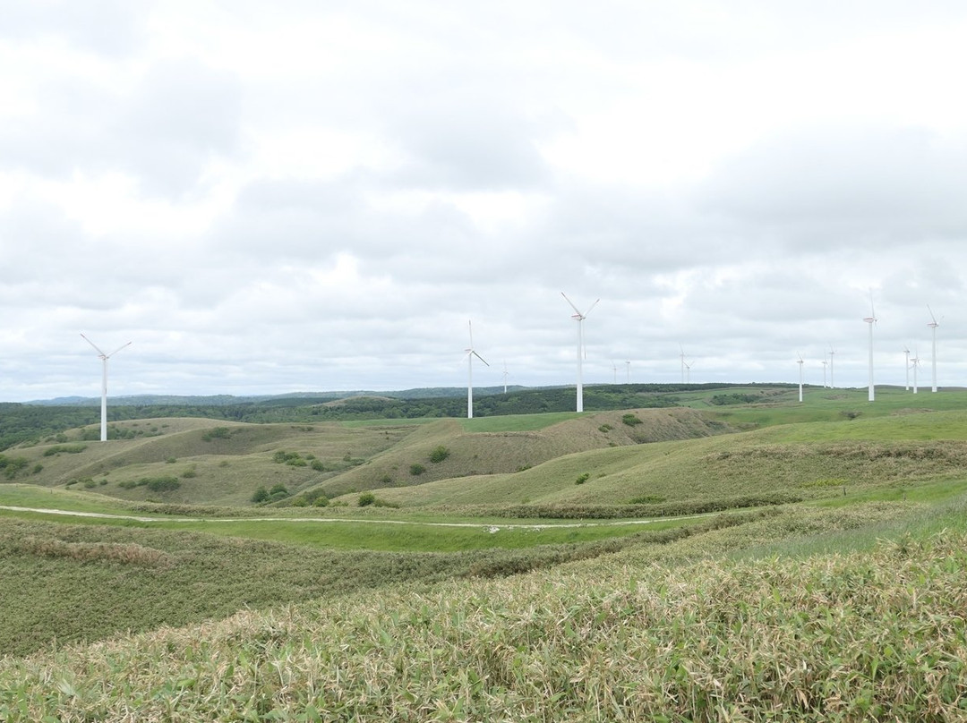Cape Soya Wind Farm景点图片