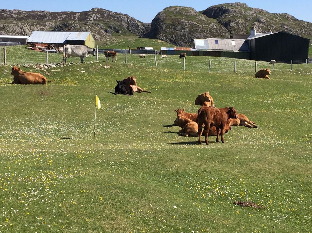 Golf on Iona-Isle of Iona必去景点