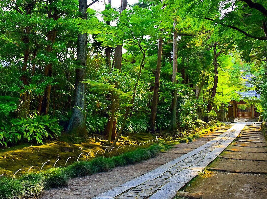 Jufukuji Temple-镰仓市必去景点