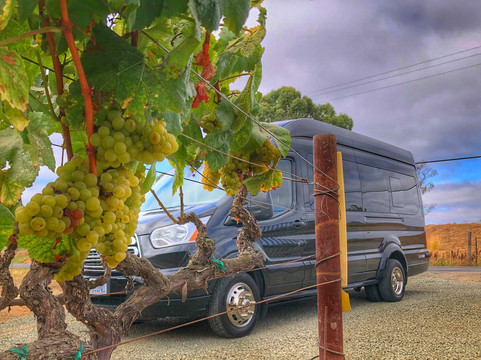 佩拉塔奢华之旅