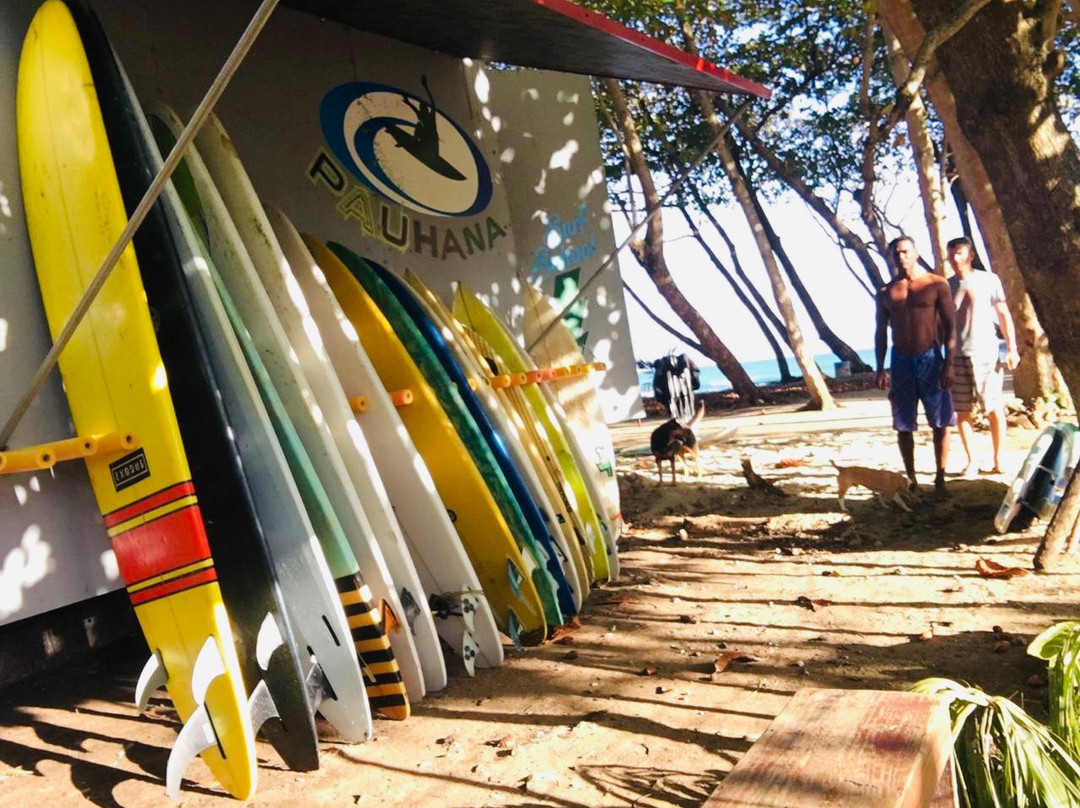 Pauhana Surf School-喀巴里特必去景点