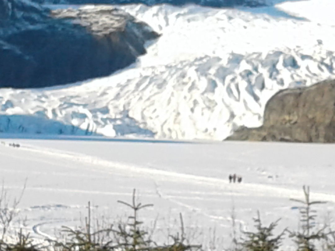 Glacier Taxi & Tours-朱诺必去景点