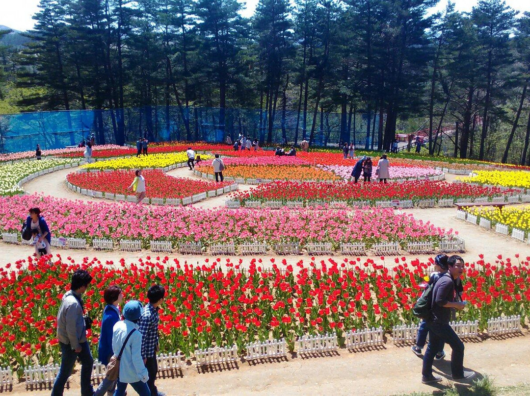 Yukiyagawa Dam Forest Park Karumai景点图片