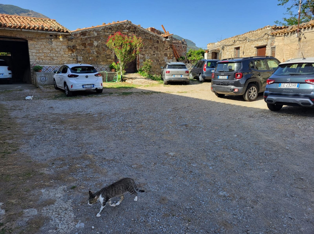 Fattoria Mongerrate