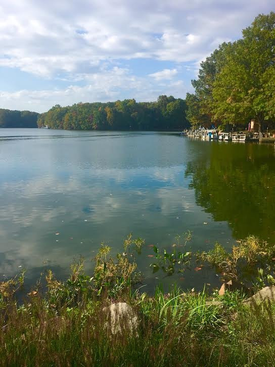 Lake Thoreau Loop Trail景点图片