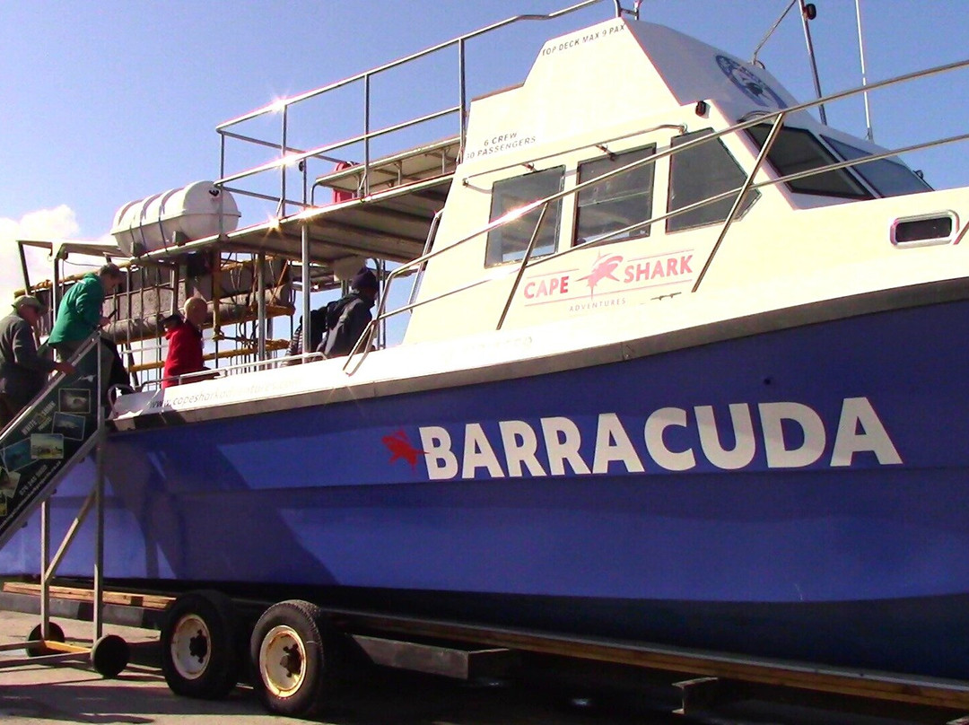 Cape Shark Adventures