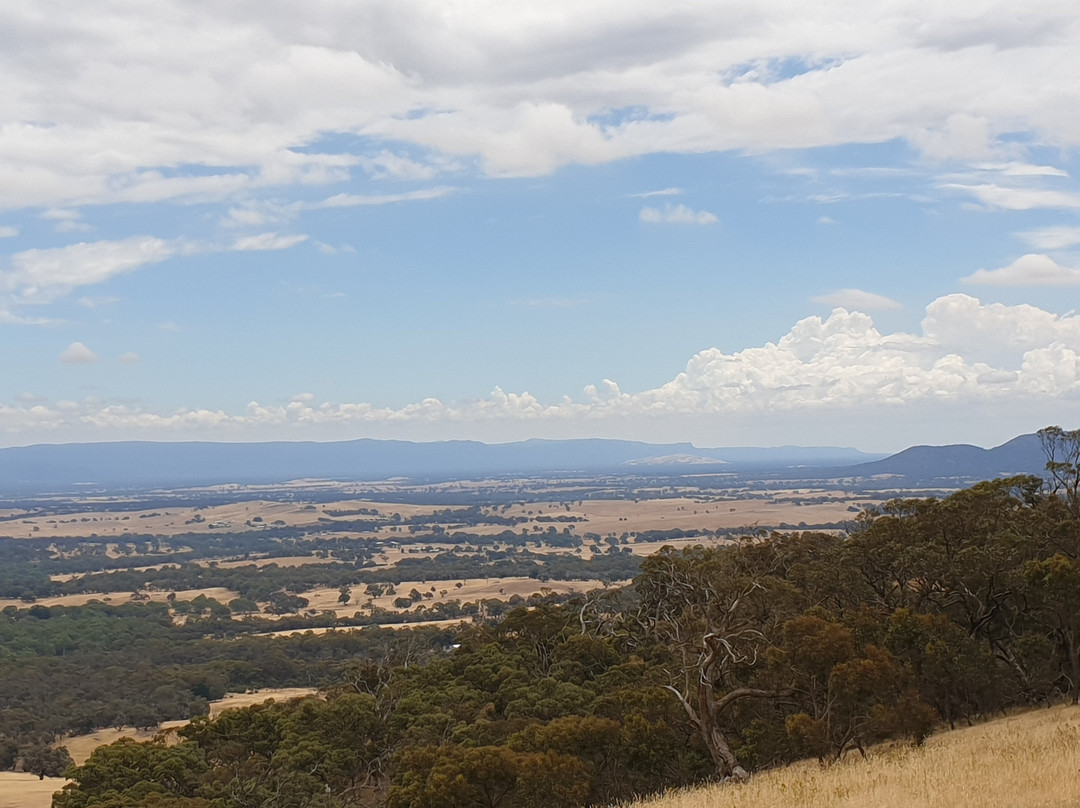 One Tree Hill Lookout-亚拉拉特山必去景点