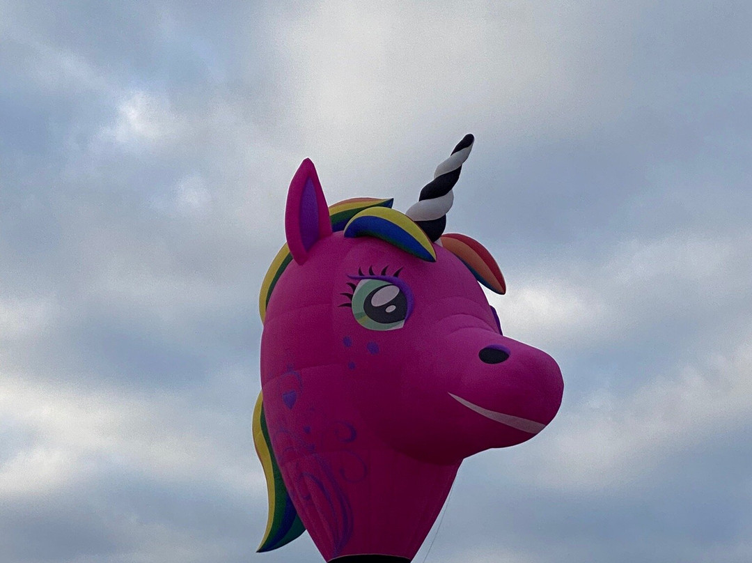 Goboat Canberra - Kingston-堪培拉必去景点