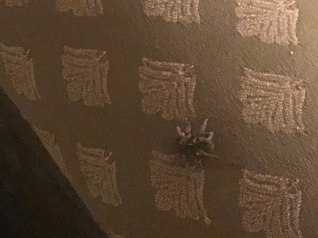 Country Hearth Inn & Suites主图