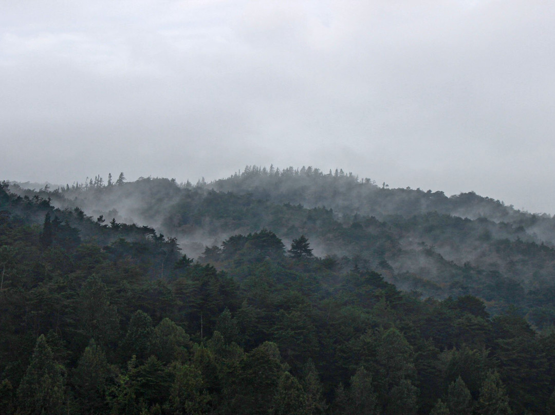 Hotel & Parque Ecológico Piedras Blancas主图