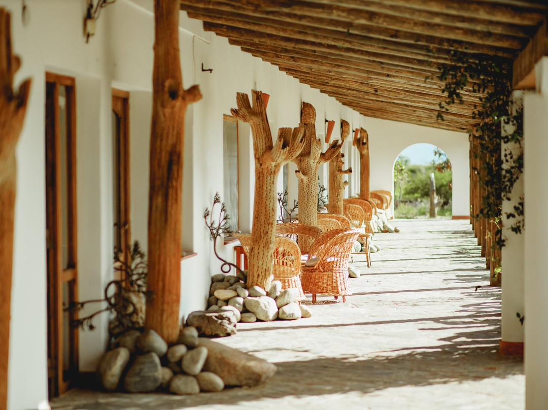 Hotel Paris-Texas主图