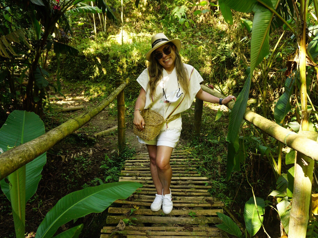 Hotel Finca del Cafe主图