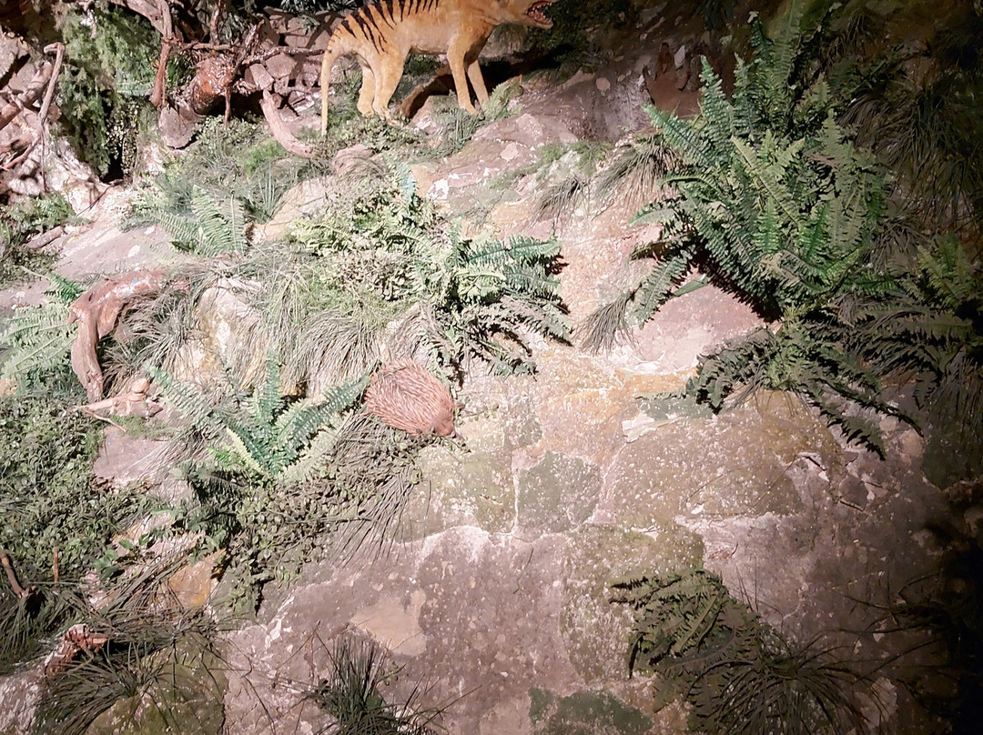 Wonambi Fossil Centre-Naracoorte必去景点