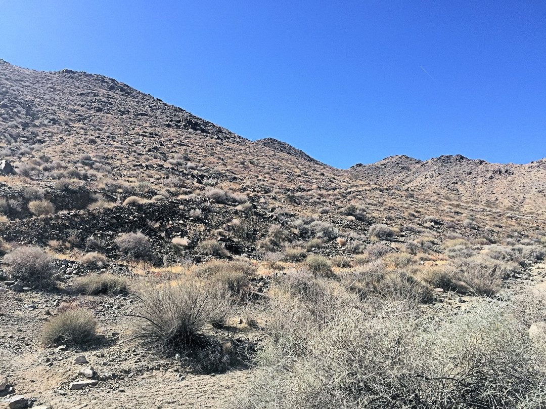 Silver Bell Mine-二十九棕榈村必去景点