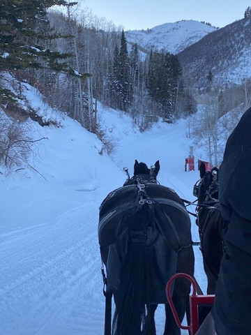 Park City Sleigh Rides-帕克城必去景点