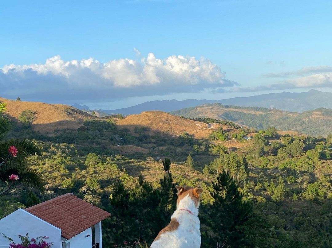 Hawk's Nest Bed & Breakfast主图