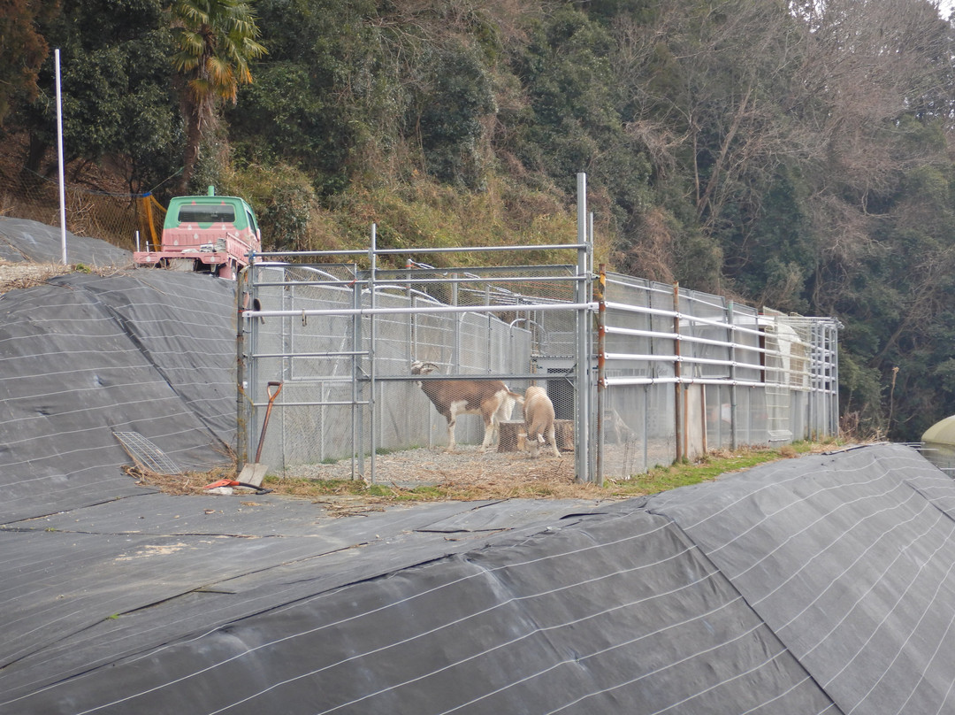 Berry House-猪名川町必去景点
