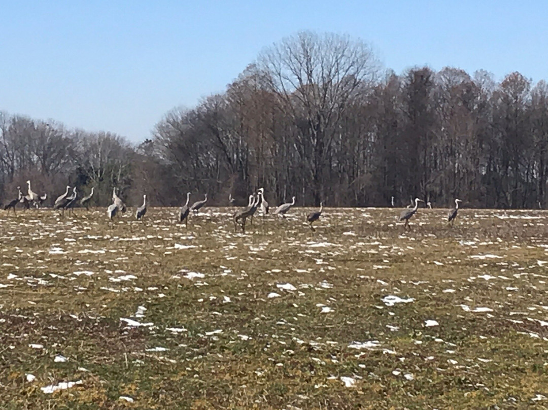 Wheeler National Wildlife Refuge景点图片