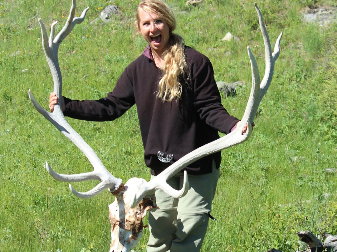 Yellowstone Hiking Guides-黄石国家公园必去景点