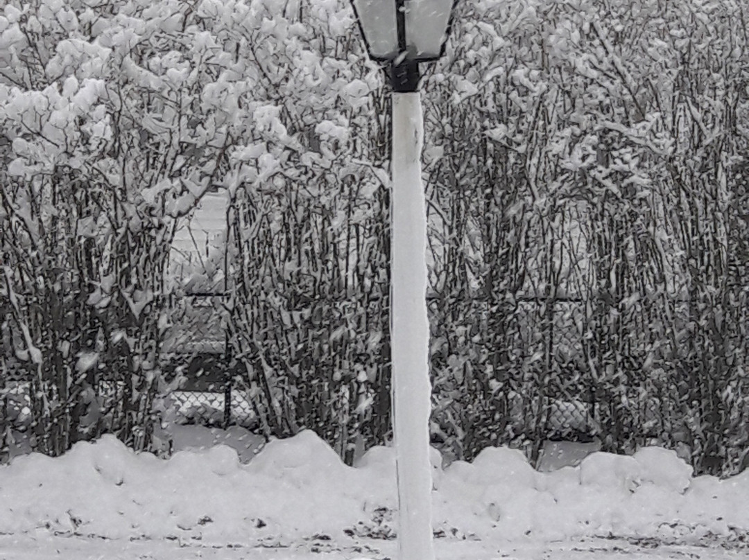 Proctor Mansion Inn主图